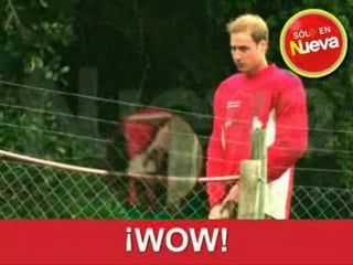 Prince william peeing 001