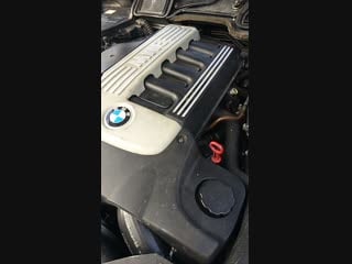 Video 20190210 113352 mp4