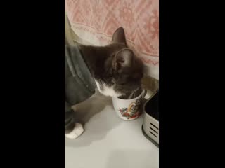 Video 20210104 110032 mp4