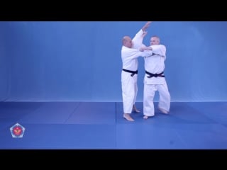 Sode tsurikomi goshi