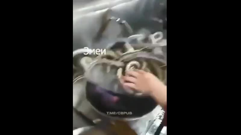 Азиатские деликатесы