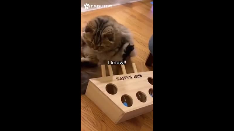 Быстро наигрался