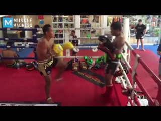 Muay thai monster saenchai muscle madness