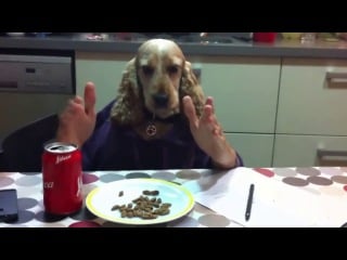 Собака с человеческими руками