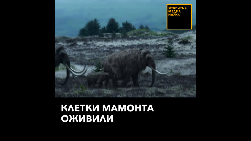 Клетки мамонта оживили