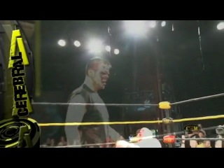 Czw cerebral matt tremont vs brain damage