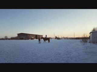 Утренняя треня