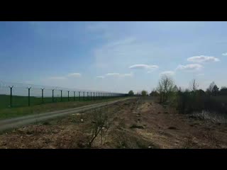 Тренироа дрища