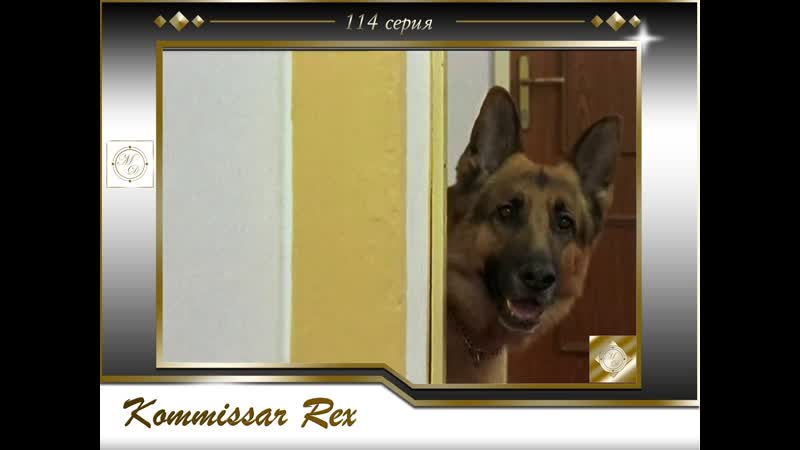 Komissar rex 9x13 sein letzter sonntag/ комиссар рекс 114 серия его последнее воскресенье