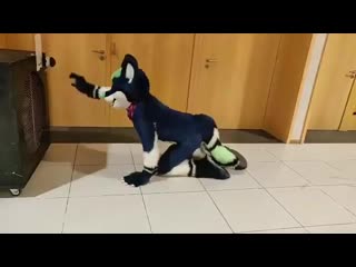 This is how you give a hot fursuiter