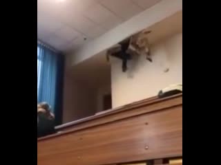 Как свалить с пары