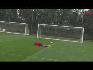 Theo walcott and mikel arteta take on dizzy goals challenge