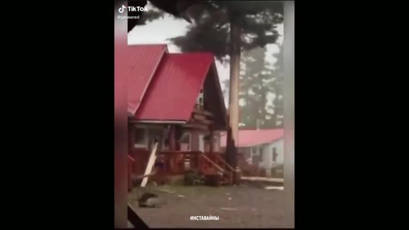 Зевс лютует