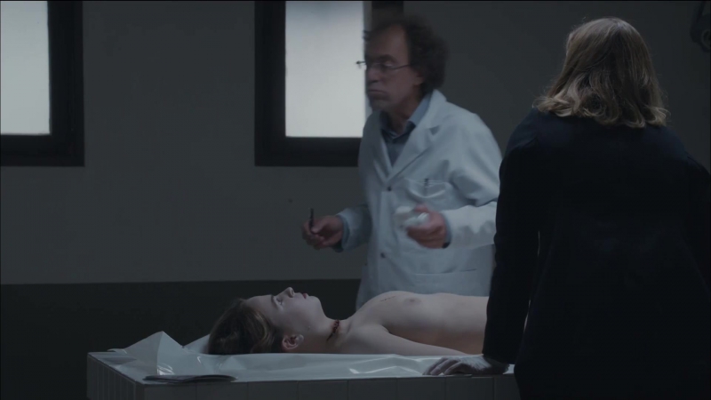 Полин бризи жёлтый ирис / pauline brisy jaune iris ( 2015 )