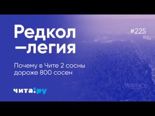 Невероятно, но факт в чите две сосны дороже 800 сосен