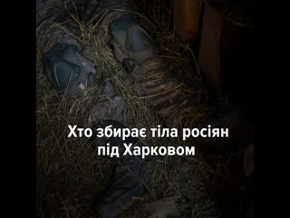 «поміняємо на наших хлопців живих або мертвих» хто і як збирає тіла росіян на харківщині