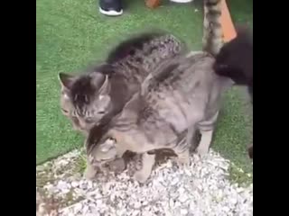 That was almost a catastrophe