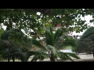 Malibu beach, koh phangan, thailand