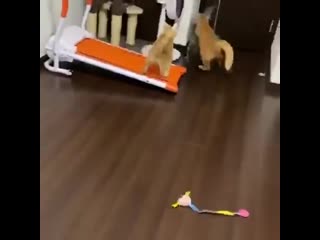 Как ветром сдуло