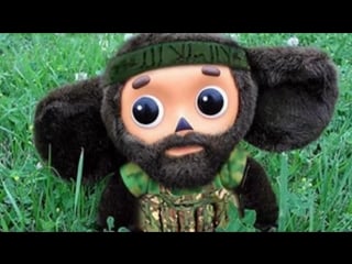 Live details releases for zmodeler