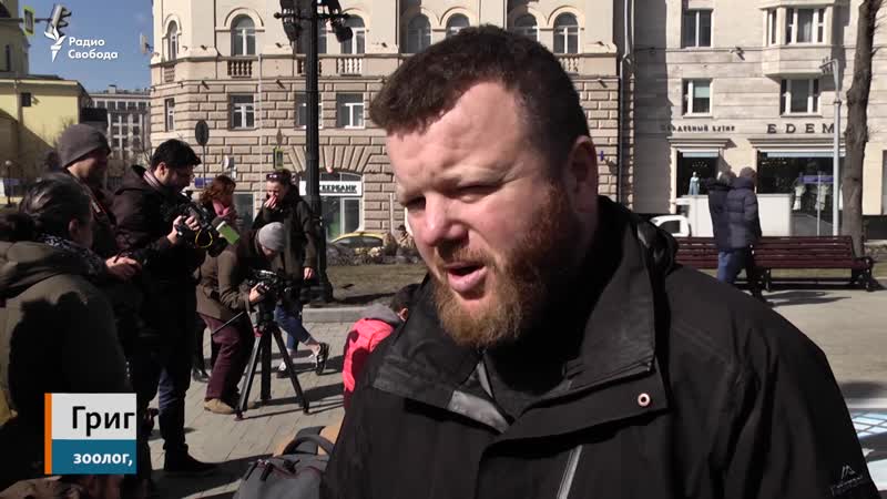 В приморье все еще держат в неволе 10 косаток и 87 белух