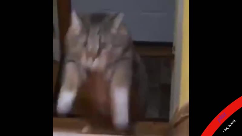 Ля шо делает чорт