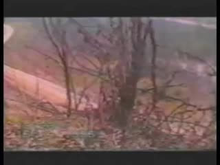 Чеченская на федеральные силы под ярыш марды