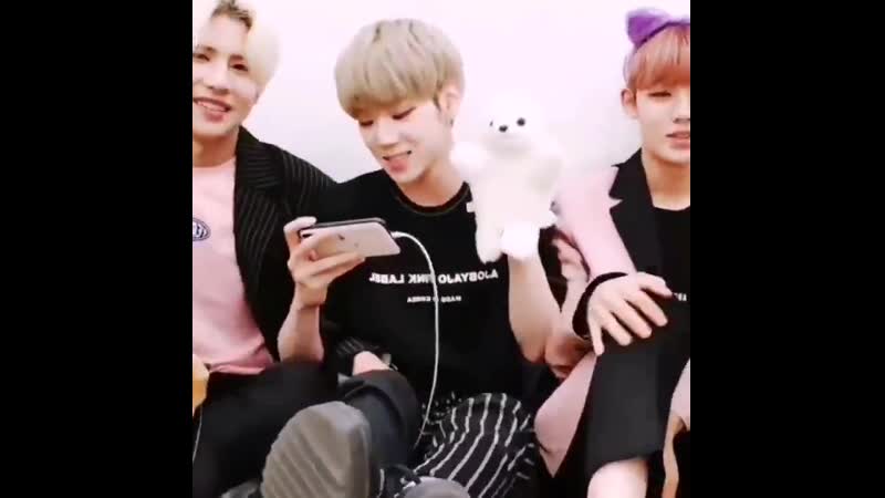 Cute️ 에이스 ace 준 동훈 와우 김병관 찬 jun donghun wow kimbyeongkwan chan
