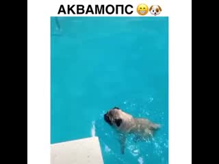 Video m3 20200816 113944 0 mp4