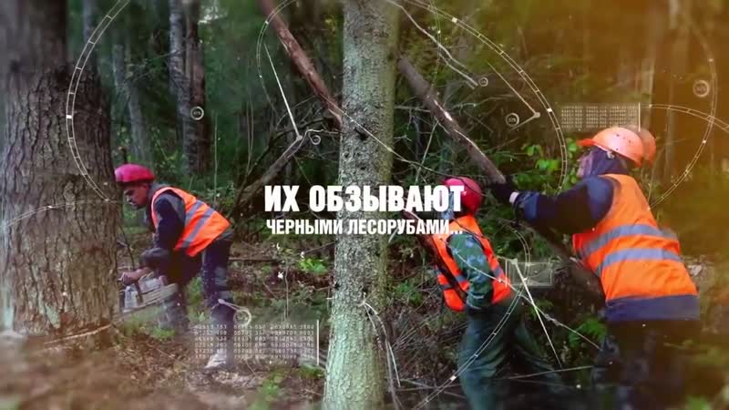 Хозяева леса документальный фильм