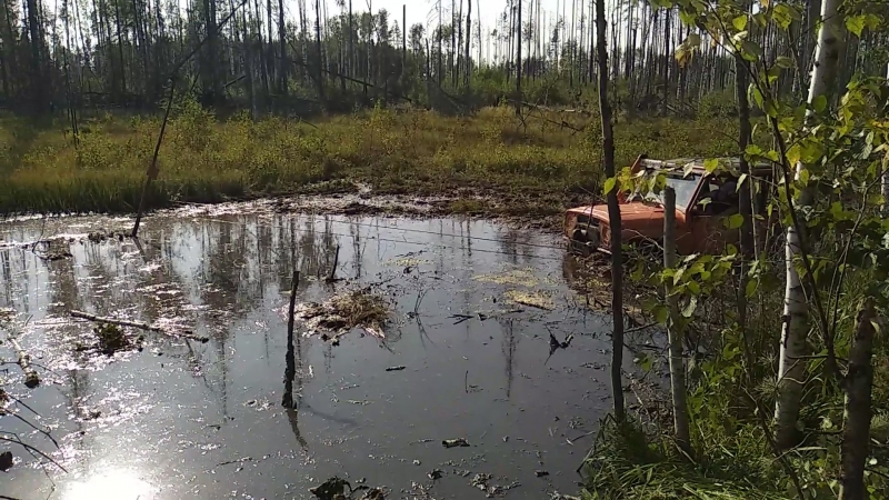 Южская топь 2018