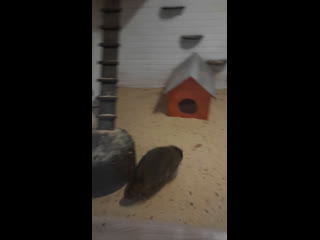 Live наше рыбацкое