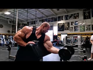 Michal krizanek trains chest, biceps & calves