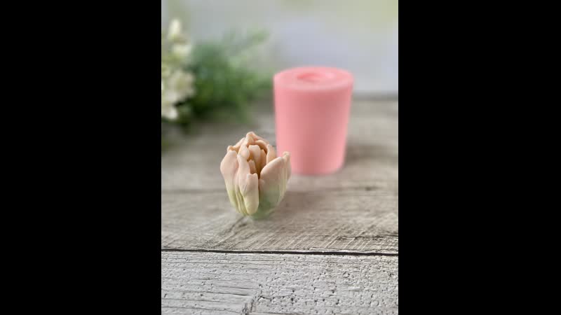 Тюльпан махровый new