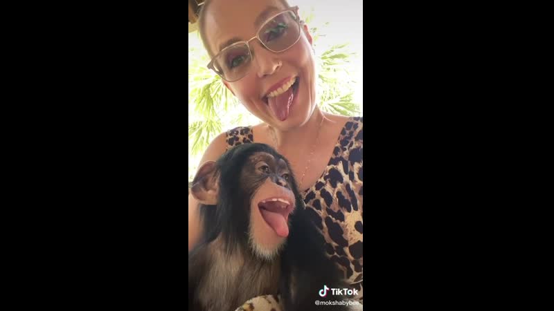 Молодые порно макака горила мавпа секс мартышка