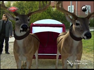 Leyla ile mecnun blm 39 yilbasi ozel