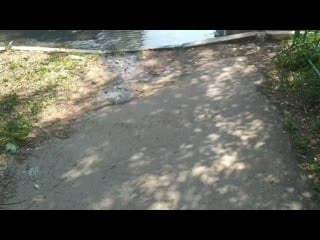 Vid 20200708 110503 mp4