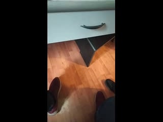 Трансляции ореол 47 live