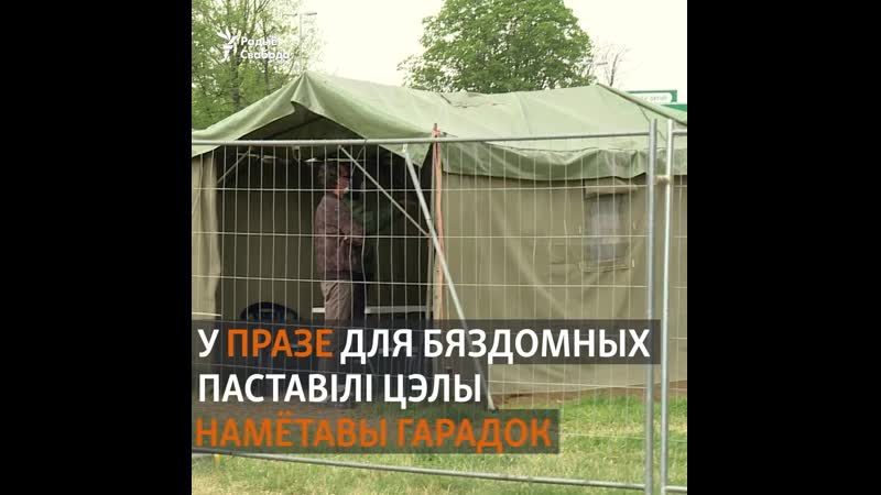 Як зрабіць карантын для бяздомных? вось што прыдумалі ў чэхіі