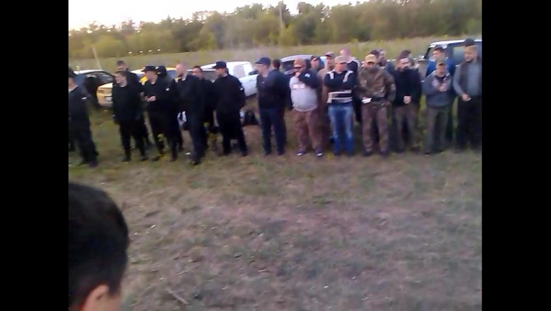 Safra v финальное построение