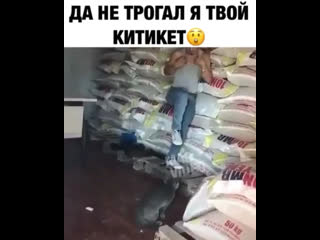 Не брал свой китикет