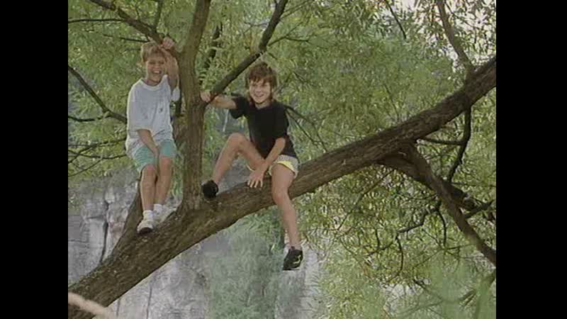 Артур, мерлин и приклихи (1995)