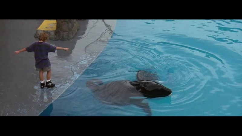 Освободите вилли (1993)