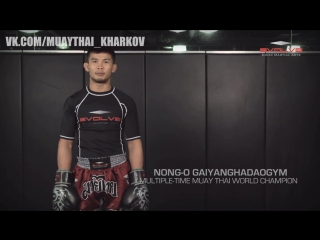 Muay thai lean back right cross k o nong o fight breakdown evolve university
