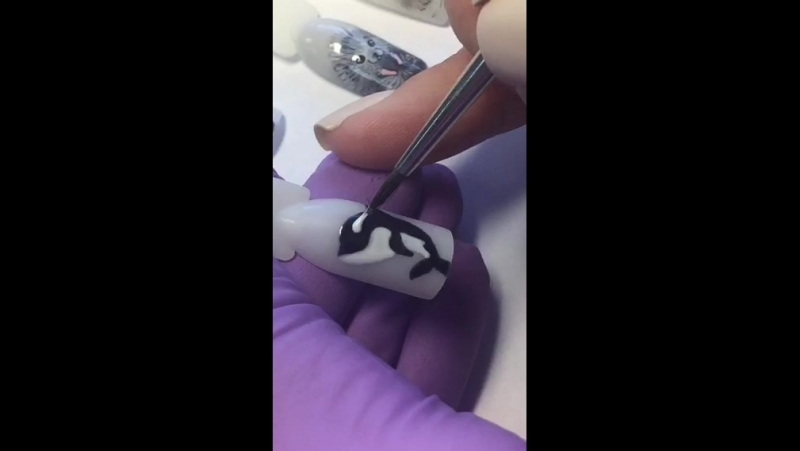 2016 01 16 елена гарцева касатка