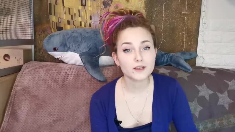 [agama mama] свинья в доме (содержание микропига)