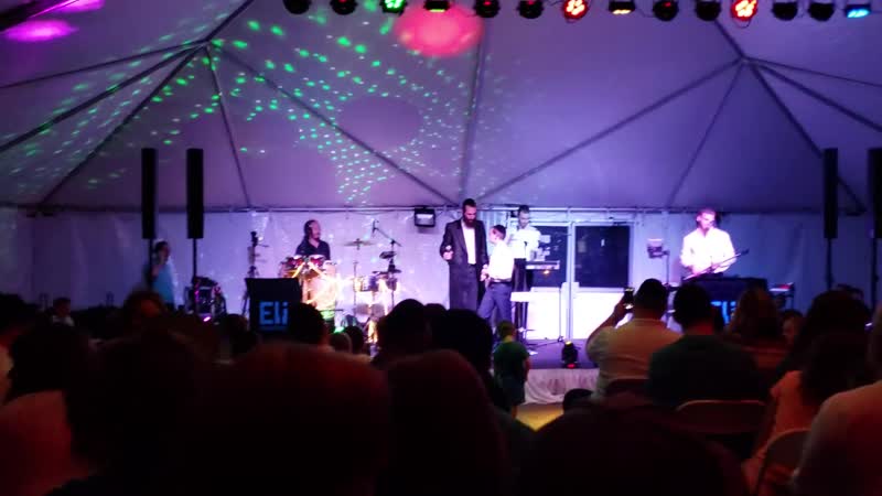 בערי וועבער ילד הפלא אברמי גענוד פסח תשעט beri weber avrumy genuth pesach 2019