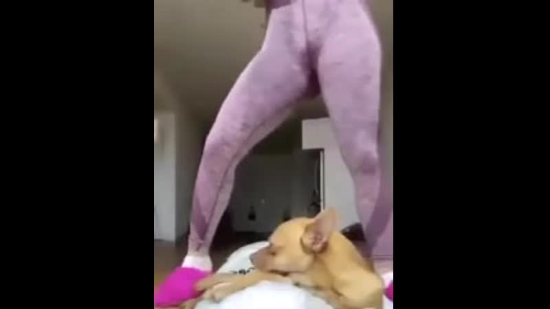 Ля, ну опять тупые дефки 😒