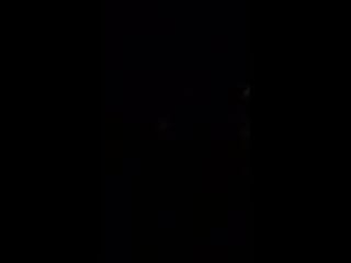 Молодо зелено 13