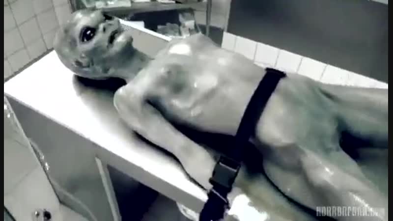 Türkiye'ye düşen zavallı uzaylı / poor martian who falls to turkiye